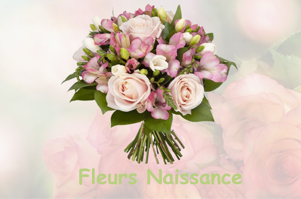 fleurs naissance BELLOY-EN-FRANCE