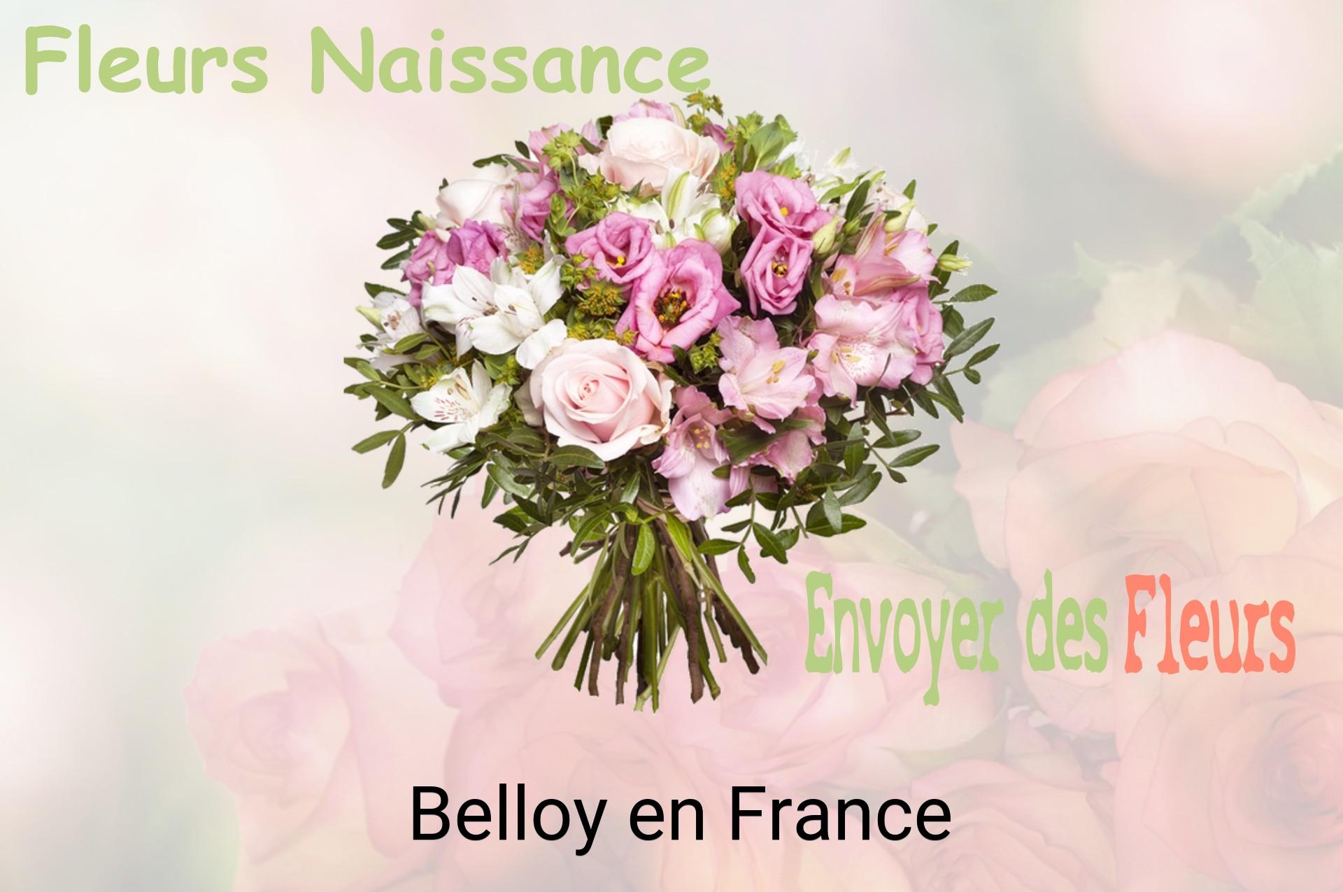 Bouquet de fleurs de naissance livré à Belloy-en-France